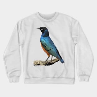 Starling in Arica Crewneck Sweatshirt